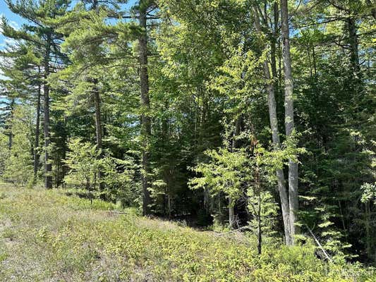 TBD HEMLOCK VIEWS, MANISTIQUE, MI 49854, photo 3 of 71