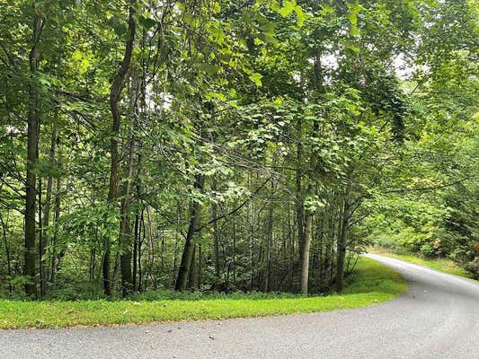 LOT 32 J MOUNTAIN HARBOUR, HAYESVILLE, NC 28904 - Image 1