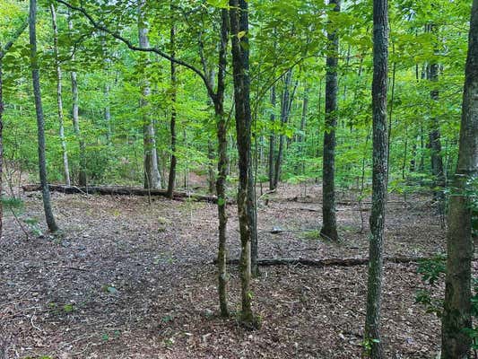 LOT 57 ASHELAND OVERLOOK DR, YOUNG HARRIS, GA 30582 - Image 1