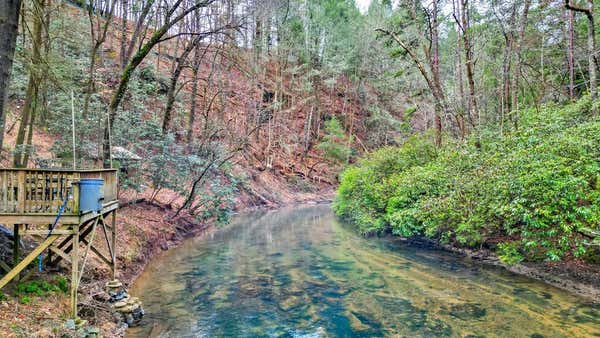 335 SUTTON RIDGE WAY, ELLIJAY, GA 30540, photo 4 of 48