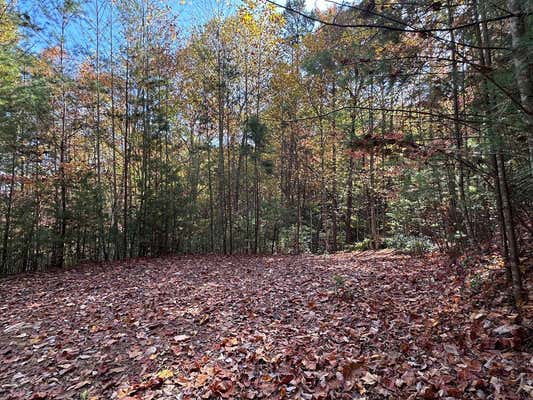 LOT 5&8 INDIAN ROCK SPRINGS SUBDIVISION, MURPHY, NC 28906, photo 5 of 32