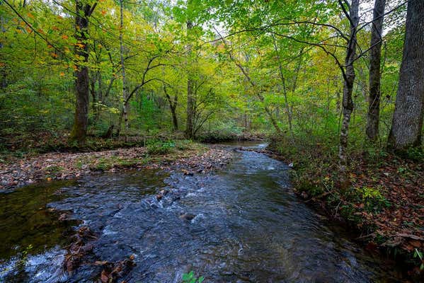 0 YELLOW CREEK RD., ROBBINSVILLE, NC 28771 - Image 1