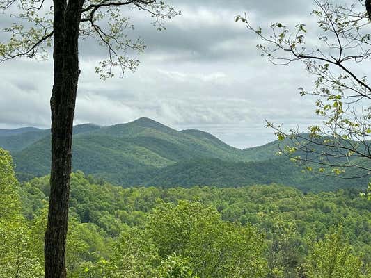 108 BEECHWOOD RD, NANTAHALA, NC 28781, photo 3 of 49