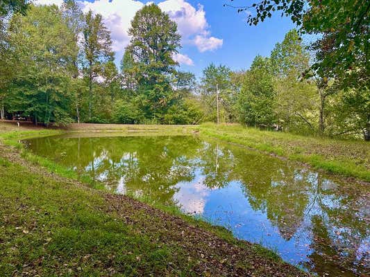 TRACT 1 WILLOW RIDGE, WARNE, NC 28909 - Image 1