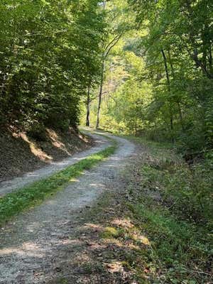 324 SCARY BRANCH RD, BRYSON CITY, NC 28713 - Image 1