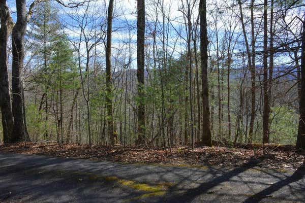 00 CHESTNUT RIDGE, ROBBINSVILLE, NC 28771, photo 2 of 6