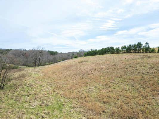 25 + 26 WOLF CREEK PRESERVE, MURPHY, NC 28906, photo 4 of 15