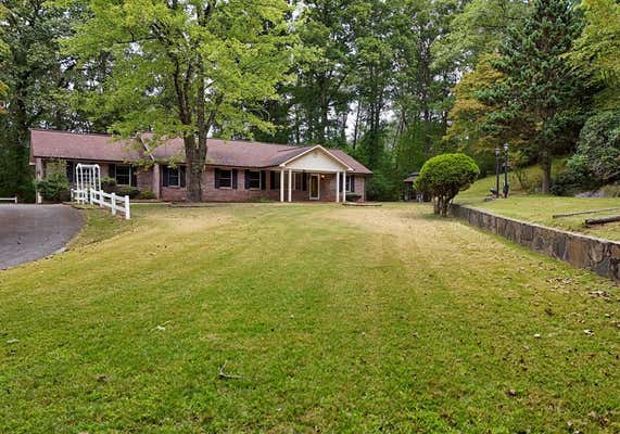 920 MINERAL BLUFF HWY, MCCAYSVILLE, GA 30555 - Image 1