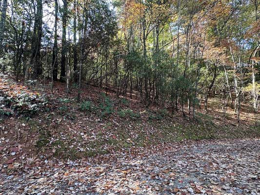 LOT 5&8 INDIAN ROCK SPRINGS SUBDIVISION, MURPHY, NC 28906, photo 4 of 32