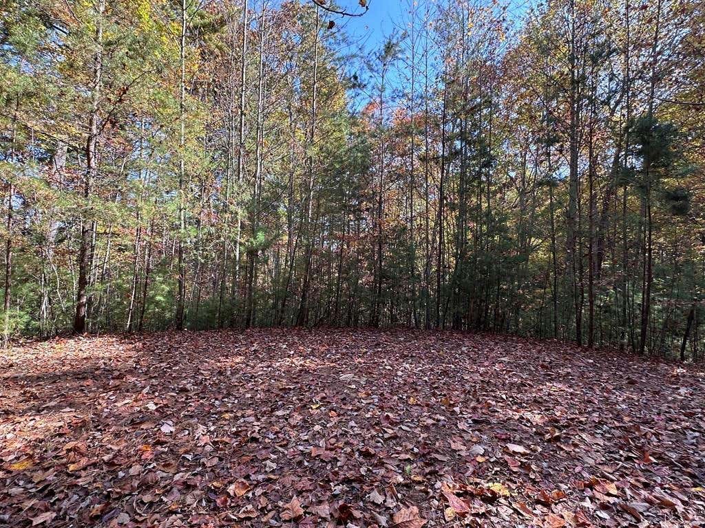 LOT 5&8 INDIAN ROCK SPRINGS SUBDIVISION, MURPHY, NC 28906, photo 1 of 32