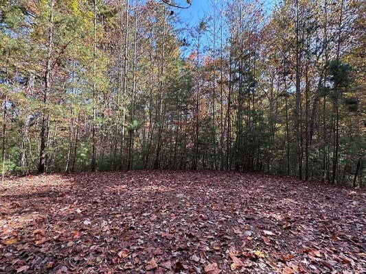 LOT 5&8 INDIAN ROCK SPRINGS SUBDIVISION, MURPHY, NC 28906 - Image 1