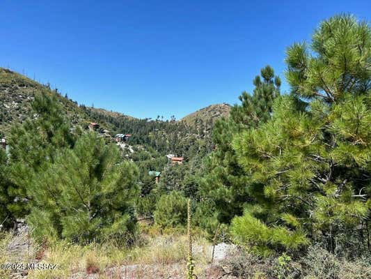 12802 N RAY AVE, MOUNT LEMMON, AZ 85619 - Image 1