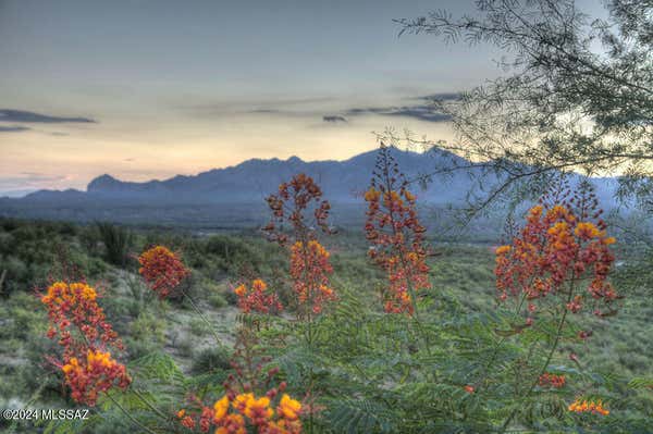 TBD ALISO SPRINGS ROAD, TUBAC, AZ 85646, photo 3 of 8