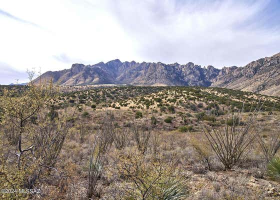 TBD W BO MA TRAIL, PORTAL, AZ 85632 - Image 1