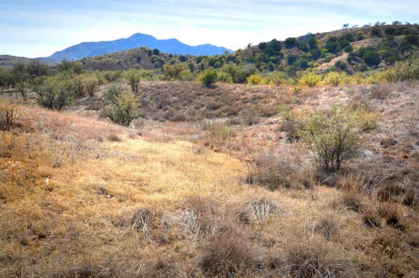 1 TANGLEHEAD LN, PATAGONIA, AZ 85624, photo 2 of 27