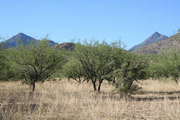 TBD BOND CANYON ROAD, TUBAC, AZ 85646 - Image 1