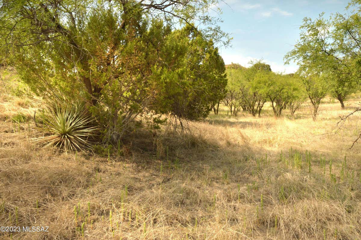 138 TANGLEHEAD LN, PATAGONIA, AZ 85624, photo 1 of 40