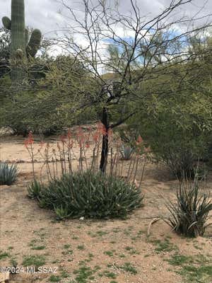 6560 N WHITE DEER LN, TUCSON, AZ 85743, photo 4 of 46