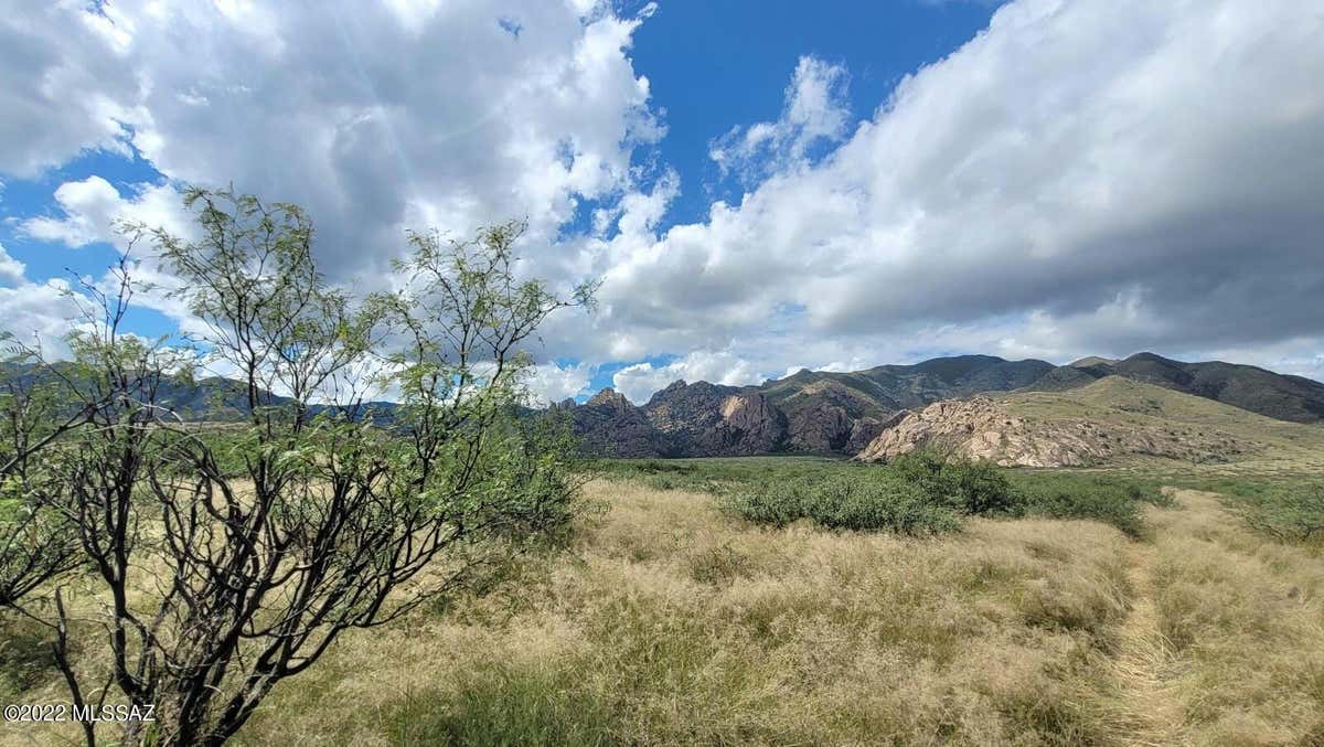 40 AC - NORTH OF IRONWOOD, COCHISE, AZ 85606, photo 1 of 17