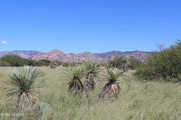 TBD E NAICHE ROAD, ST. DAVID, AZ 85630 - Image 1