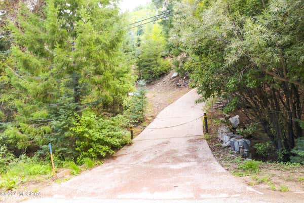 11160 E TURKEY RUN RD, MOUNT LEMMON, AZ 85619 - Image 1