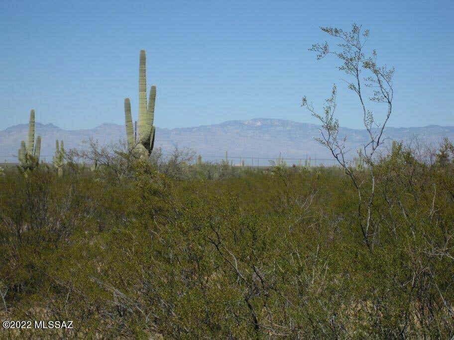 16110 S WILMOT RD, SAHUARITA, AZ 85629, photo 1 of 11