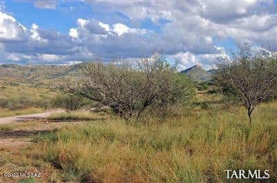 LOT 2 TANGLEHEAD LANE, PATAGONIA, AZ 85624, photo 1 of 32