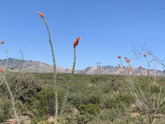 E DRAGOON RANCH ROAD, ST. DAVID, AZ 85630 - Image 1