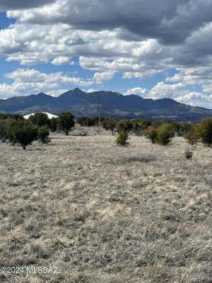 TBD TERNEY LANE, SONOITA, AZ 85637 - Image 1