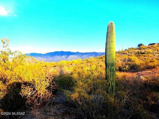 11310 E TWIN HILLS TRL, TUCSON, AZ 85748 - Image 1