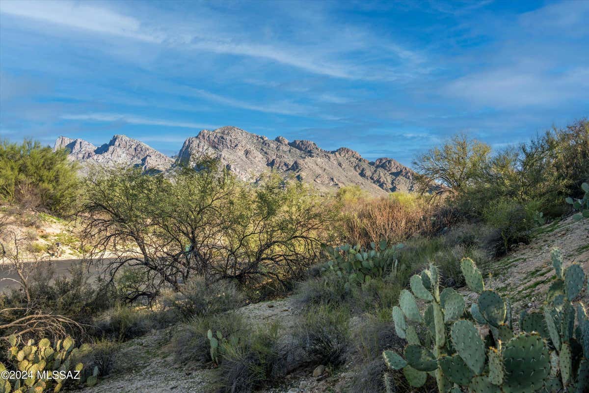 625 W ATUA PL, ORO VALLEY, AZ 85737, photo 1 of 23