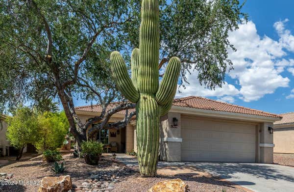 13649 N GOLD CHOLLA PL, MARANA, AZ 85658 - Image 1