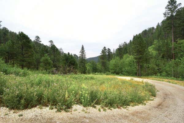 TBD GALENA ROAD, DEADWOOD, SD 57732 - Image 1