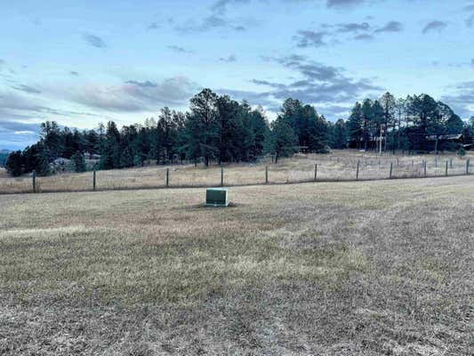 LOT 1 GRANITE VALLEY, CUSTER, SD 57730 - Image 1