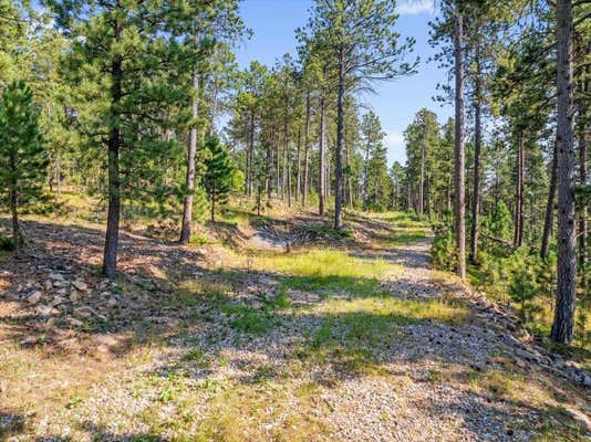 TBD GILT EDGE ROAD, DEADWOOD, SD 57732 - Image 1