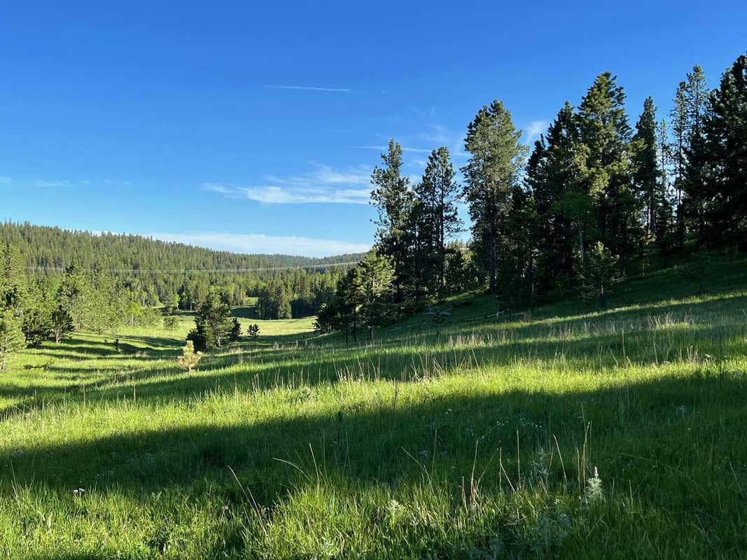 LOT 8 BOLES CANYON ROAD, LEAD, SD 57754, photo 1 of 16