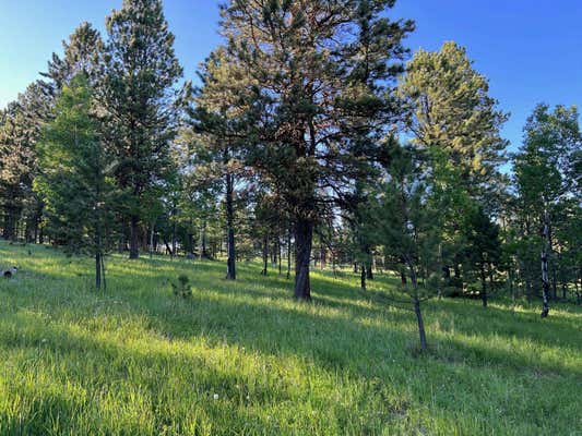 LOT 8 BOLES CANYON ROAD, LEAD, SD 57754, photo 5 of 16