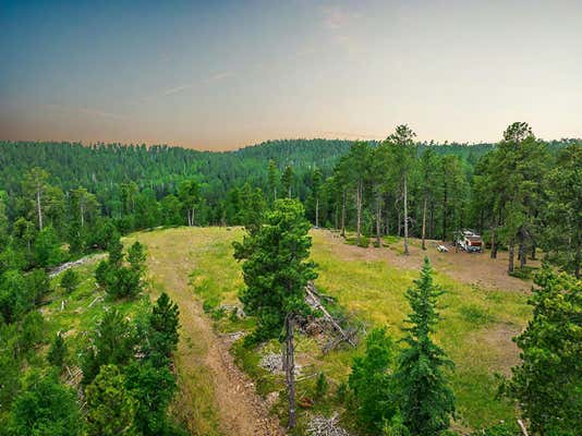 11811 CUBA RD, DEADWOOD, SD 57732 - Image 1