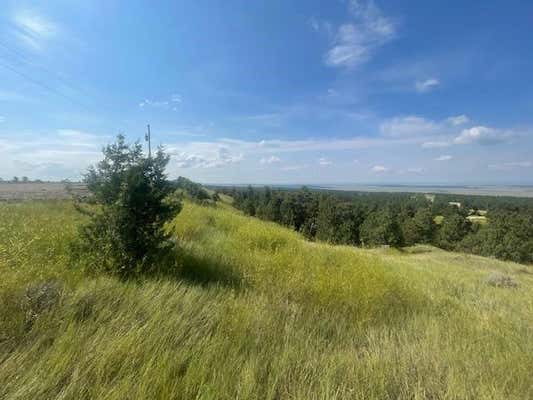 TRACT 2 SUNDOWN TRAIL, UPTON, WY 82734, photo 3 of 7