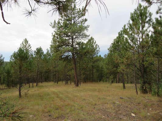 TBD LOT 34B HOMBRE TRAIL, CUSTER, SD 57730 - Image 1