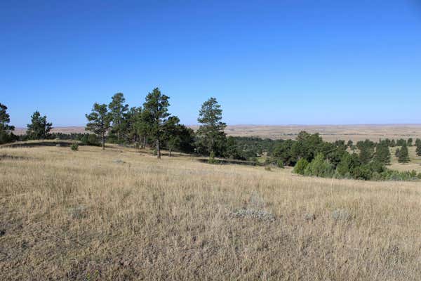 TRACT 15, OSHOTO, WY 82721 - Image 1