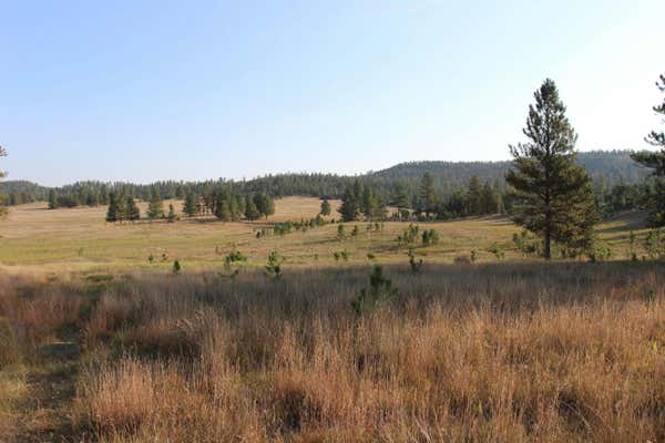 TBD PLEASANT VALLEY ROAD, CUSTER, SD 57730 - Image 1