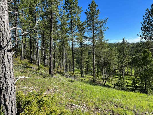 LOT 6 BOLES CANYON ROAD, LEAD, SD 57754 - Image 1