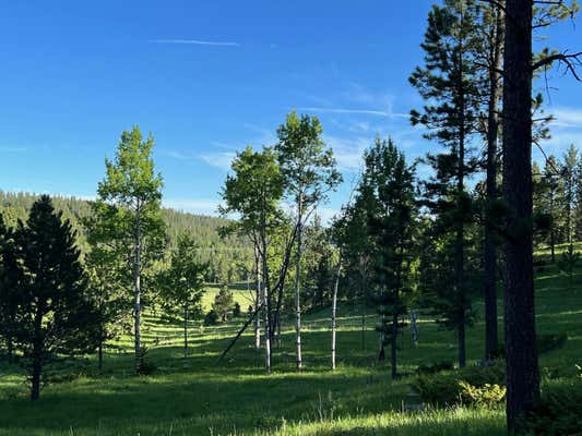 LOT 8 BOLES CANYON ROAD, LEAD, SD 57754, photo 3 of 16