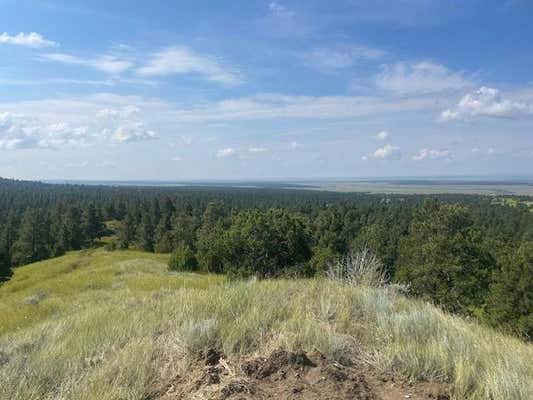 TRACT 2 SUNDOWN TRAIL, UPTON, WY 82734, photo 4 of 7