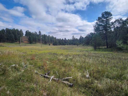 TBD HAUGAN TRAIL, HERMOSA, SD 57744 - Image 1