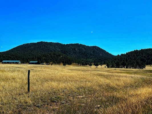 TBD CANYON SPRINGS ROAD, SUNDANCE, WY 82729 - Image 1