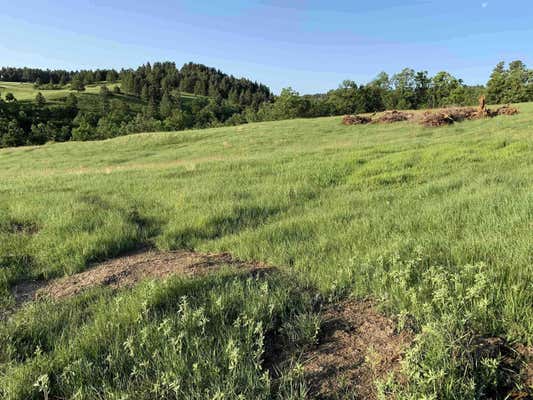 LOT 39 PRAIRIE VIEW LOOP, WHITEWOOD, SD 57793, photo 3 of 8