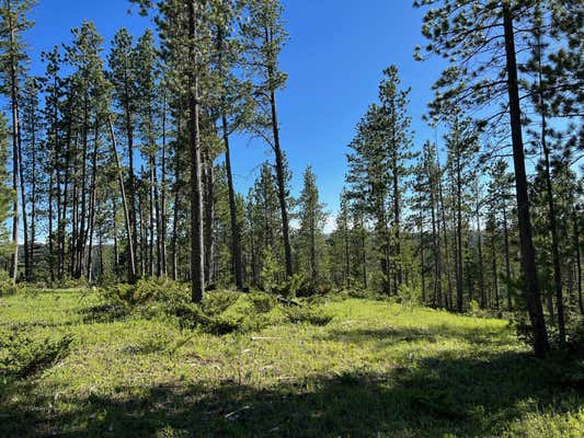 LOT 5 BOLES CANYON ROAD, LEAD, SD 57754 - Image 1