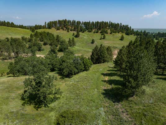 LOT 33 PRAIRIE VIEW ROAD, WHITEWOOD, SD 57793, photo 2 of 5